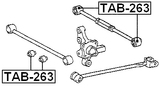 TAB-263 - REAR TRANSVERSE ROD BUSHING