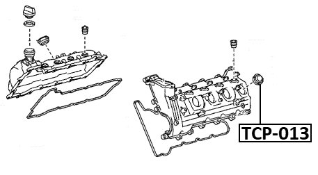 TCP-013 - O-RING FUEL INJECTOR