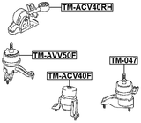 TM-AVV50F - FRONT ENGINE MOUNT (HYDRO)