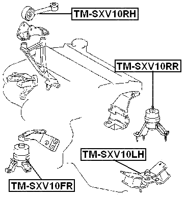 TM-SXV10RR - REAR ENGINE MOUNT (HYDRO) MT