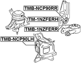 TMB-NCP90RR - REAR ENGINE MOUNT BUSHING