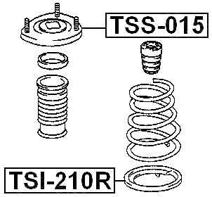 TSS-015 - REAR SHOCK ABSORBER MOUNTING